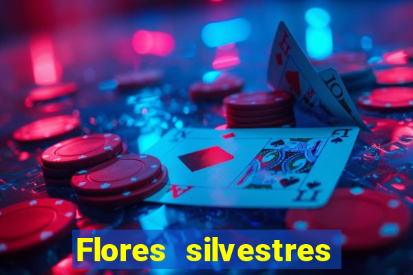 Flores silvestres brasileiras brasileiras flores silvestres nomes e imagens